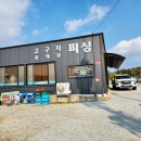 고구낚시터 이미지