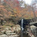 레빗코인노래연습장 이미지