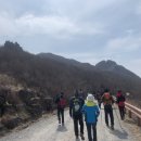 큰뿌리태권도 이미지