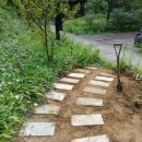 식물원 정자옆 이미지