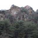 바위섬가든 이미지