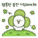 위앤드보니 이미지