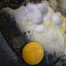 🥚 탱글한 노른자에 반한 난각번호 1번 자연방사 유정란 후기 (더싱싱 계란 40구 내돈내산 리뷰)