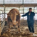 삼성한우농장 이미지