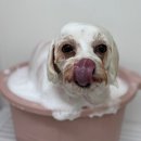 쓰다드멍 이미지