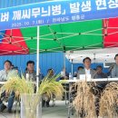 벼_ 깨씨무늬병 농업재해로 인정 이미지