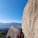 수원-0991 이미지