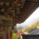 금남중학교 이미지