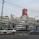 베스트PC | 금정역에서 가까워 찾아가기 쉬운 새로 오픈한 술집 네오 홍콩 방문 따끈후기