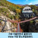 거창 항노화 힐링랜드 자연휴양림 | 거창 가볼 만한 곳 Y자 출렁다리 뷰가 멋진 거창 항노화 힐링 치유 랜드 자연휴양림