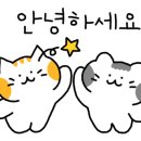 제로디스턴스 이미지