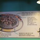 미스터갈매기