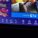 쏭코인 노래연습장 이미지