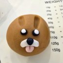 우리화원 | 진해화과자공방 화원 원데이클래스 후기