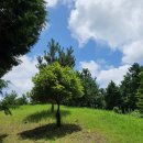 남원목장 이미지