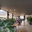 남사고기 이미지