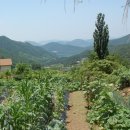 대붕농장 이미지