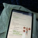 2024년 하반기 꿈자람터 독서회(3,4학년) | NCLEX 엔클렉스 초시 오사카 85 문제 FAIL / 대만 150 문제 PASS 후기