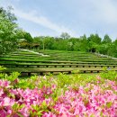 논현포대 이미지