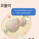 경부 T/G | 임신 30-32주 | 정기검진 & 태동검사, 백봉철학관 출산 택일 날짜 받기
