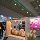 이랜드월드진주점 | 코엑스 트래블쇼 세상의 모든 여행을 맛보다 다녀온 후기!