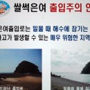 망도