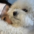 네일탁