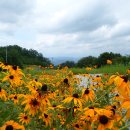 매봉산정상 이미지