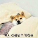 석