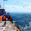 통일태양광발전소 이미지