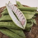 다목농장 이미지