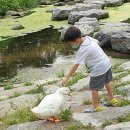 오리들1길 이미지