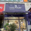 6444 | 대전 꽃집 추천 대전둔산꽃집 비올레뜨 감각있는 꽃다발 추천