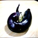 찬우농장 이미지