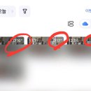 강아지 고양이 펫캠 홈캠 이지비즈 후기
