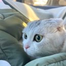 서울메이치과병원 이미지