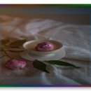 장기시장 이미지