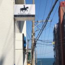 인게스트하우스 | 제주게스트하우스후기, 노마드인제주 운영하면서 가장 많이 들은 이야기