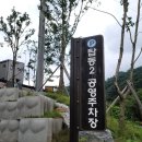 탑동2 공영주차장 이미지