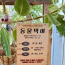 혁신농장 | 충북혁신도시 근처 아이랑 가볼만한 곳 야외 농장 에코팜