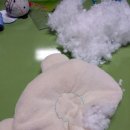 수원-0728 이미지