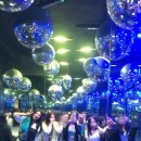 Gaudium(가우디움)