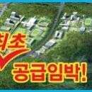 바이오 | 미국 차세대 인슐린 경쟁 시작 (메디팜스투데이) | 한국바이오협회 이미지