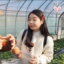 예진농장 이미지