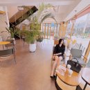 엔젤리너스(조치원점) 이미지