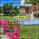유넷 | 대구 도동서원 배롱나무 명소 백일홍꽃밭 개화상황