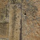 경상도우회기념회장 암각 | 이치일/경상도 우회기념회장 암각