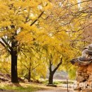 홍길동농촌체험휴양마을 이미지