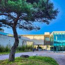 울진봉평신라비전시관 | 경북 울진 가볼만한곳 울진 신라비 전시관 아이와 실내