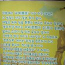 둔내막국수 Daum카페